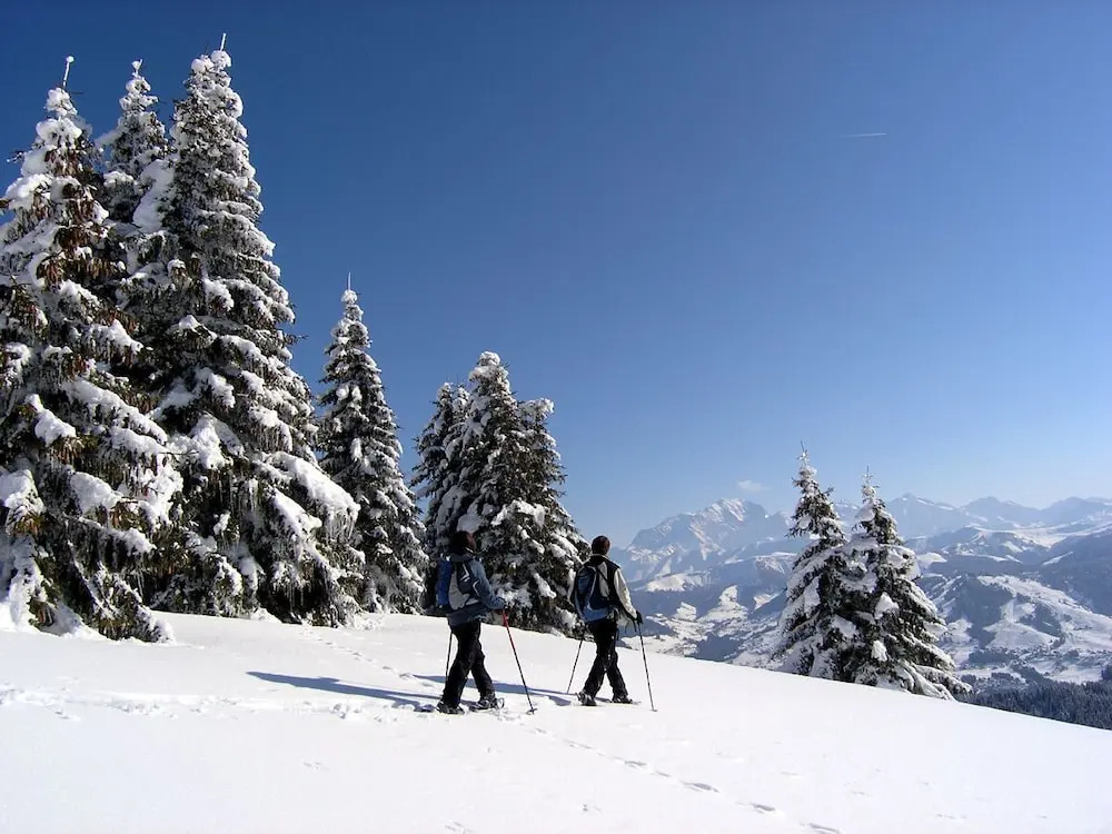Les Chalets de La Griyotire