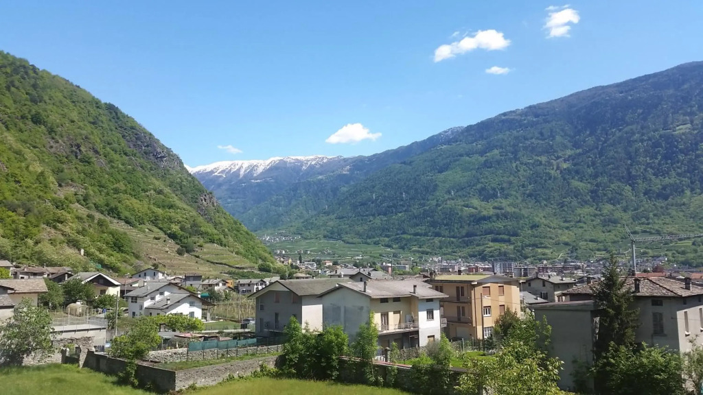 Retica Tirano