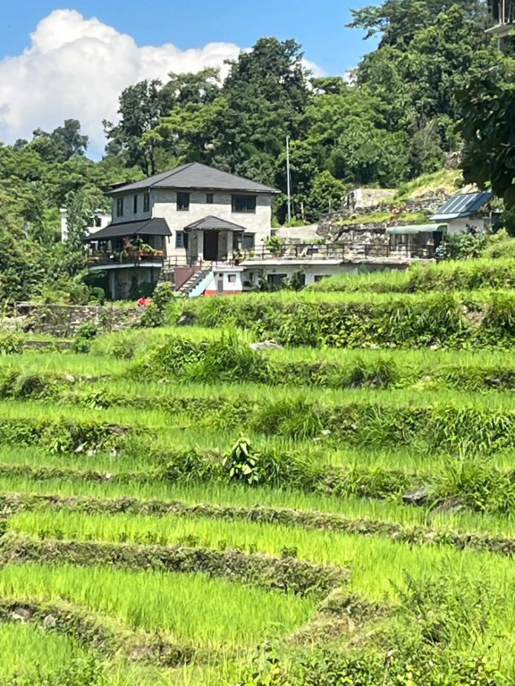 The North Face Inns Homestay
