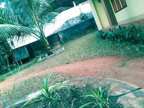 Buddha Hostel