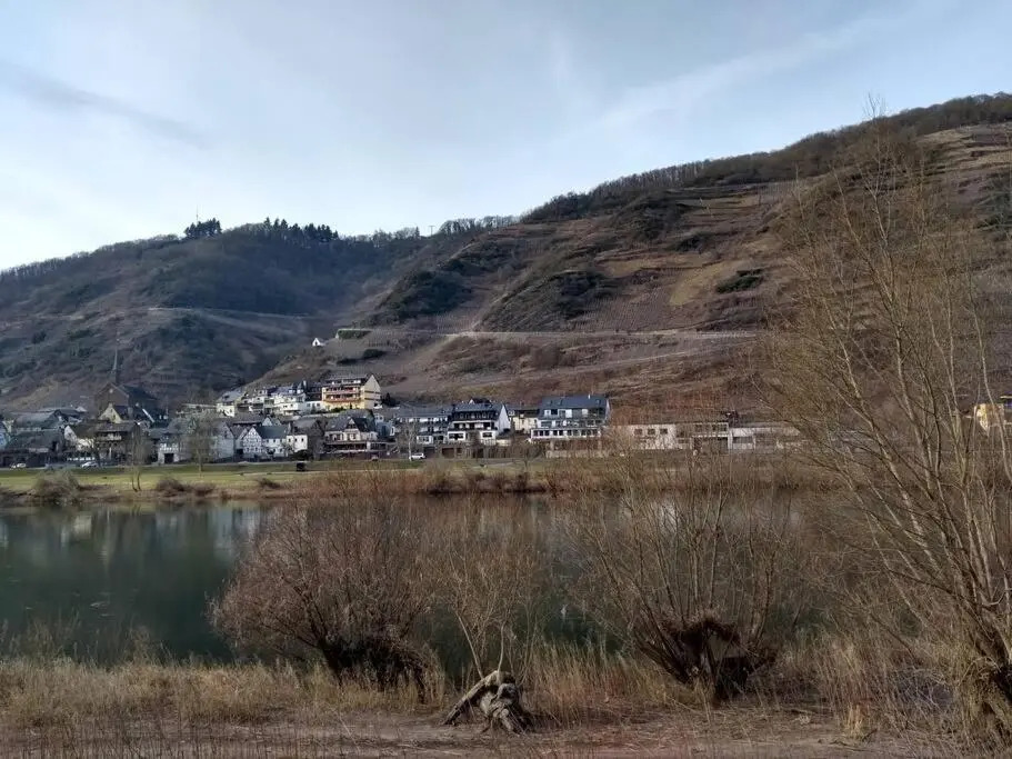 luxury holiday home in Cochem for 14 people
