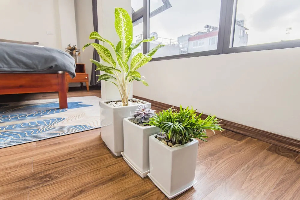 Fancy Homestay
