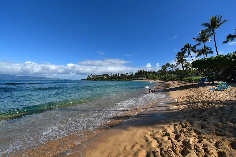 Napili Shores D227 Studio Bedroom 1 Bathroom Condo