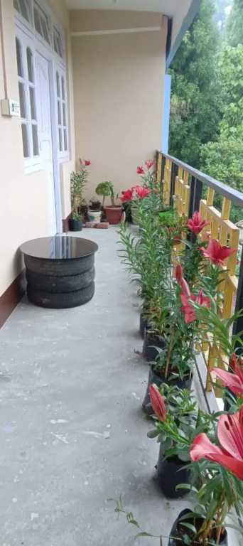 Cypress Homestay