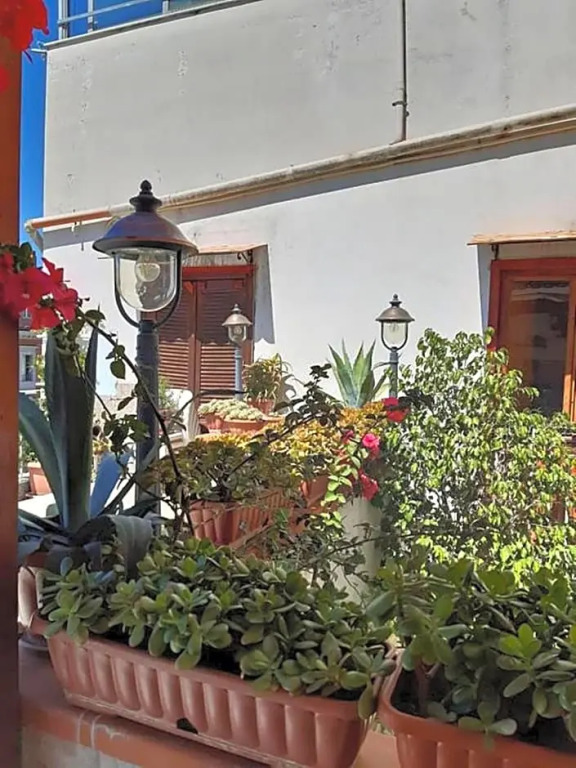 La Terrazza sul porto