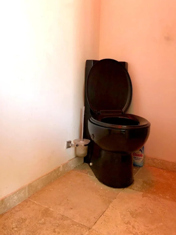 Studio in Villejuif, With Wonderful City View, Furnished Garden and Wifi - 300 km From the Beach