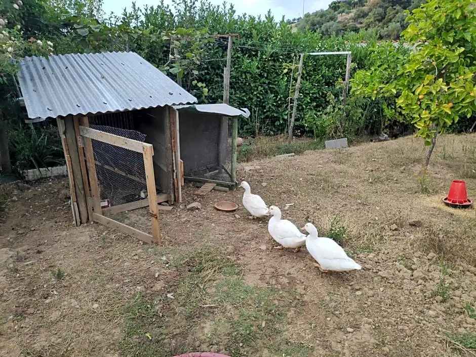 Nature et al House - Casa para uso exclusivo e jardim - Little farm