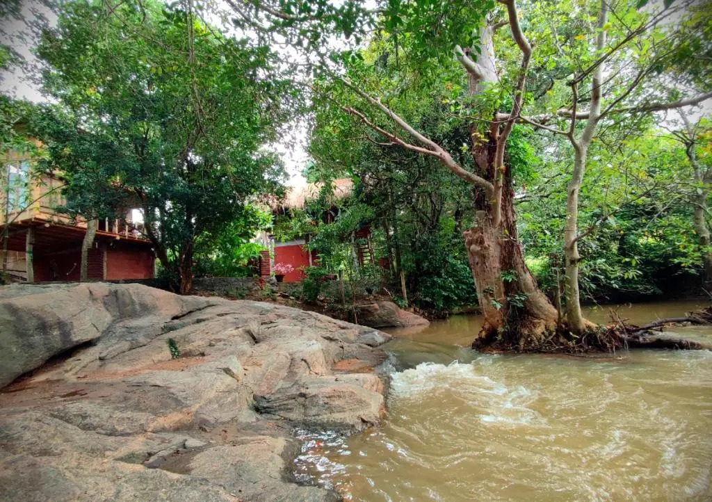 Sigiriya River Side Villa