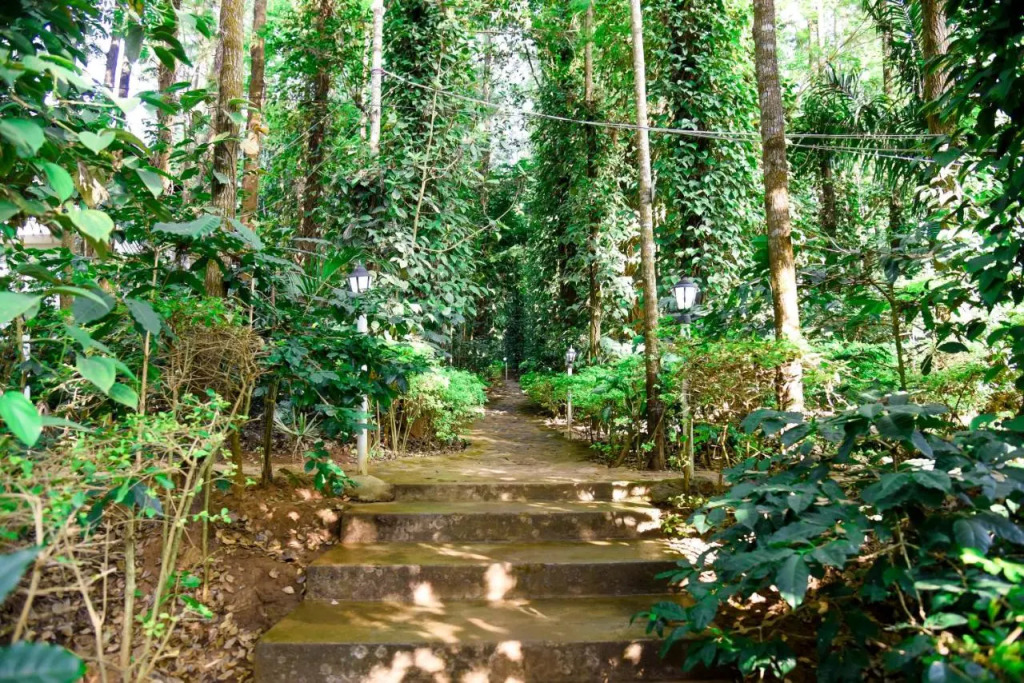 The Spectrum Resort - Chikmagalur