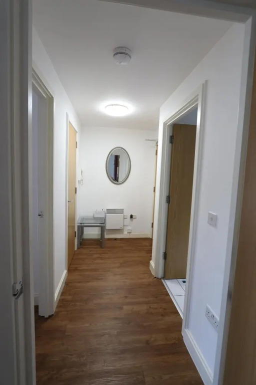 Ss-suite One