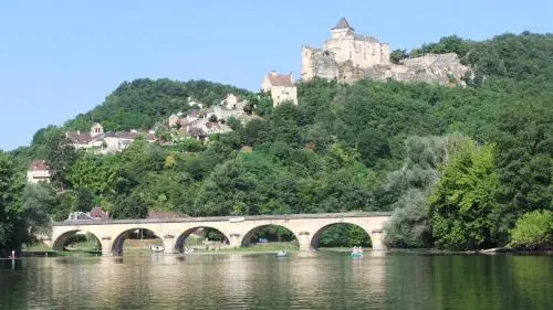 Le Grand Cedre