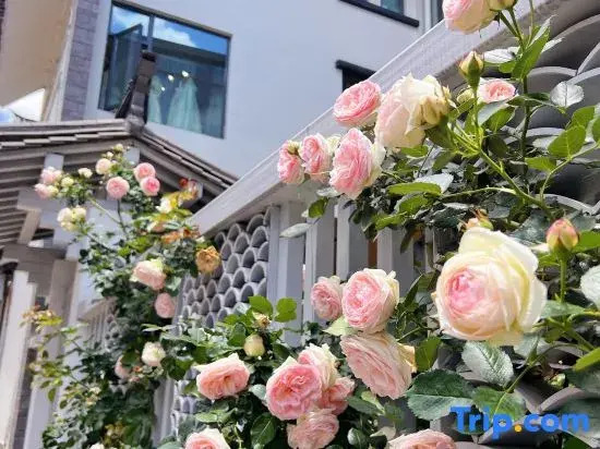 Dali Wanchang Homestay