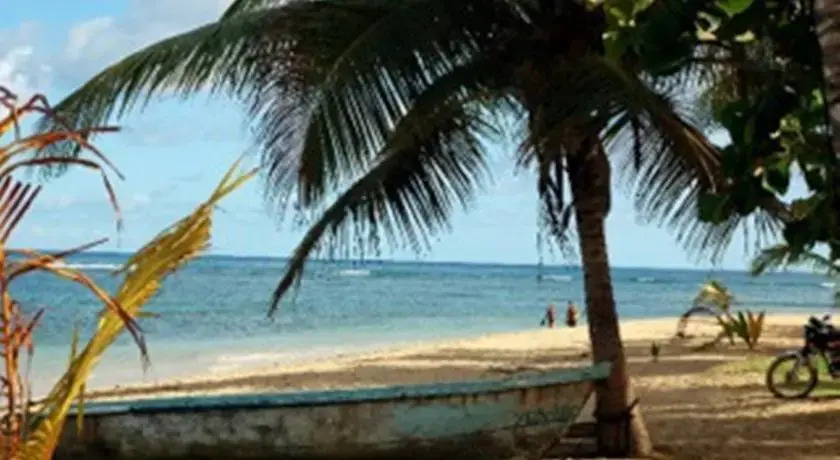 El Nido de Las Ballenas