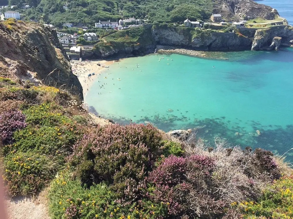 Room-orchard Manor - King Room 5 With Pa