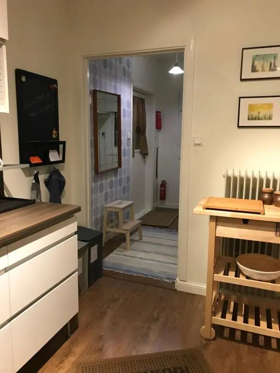 Anki's apartment