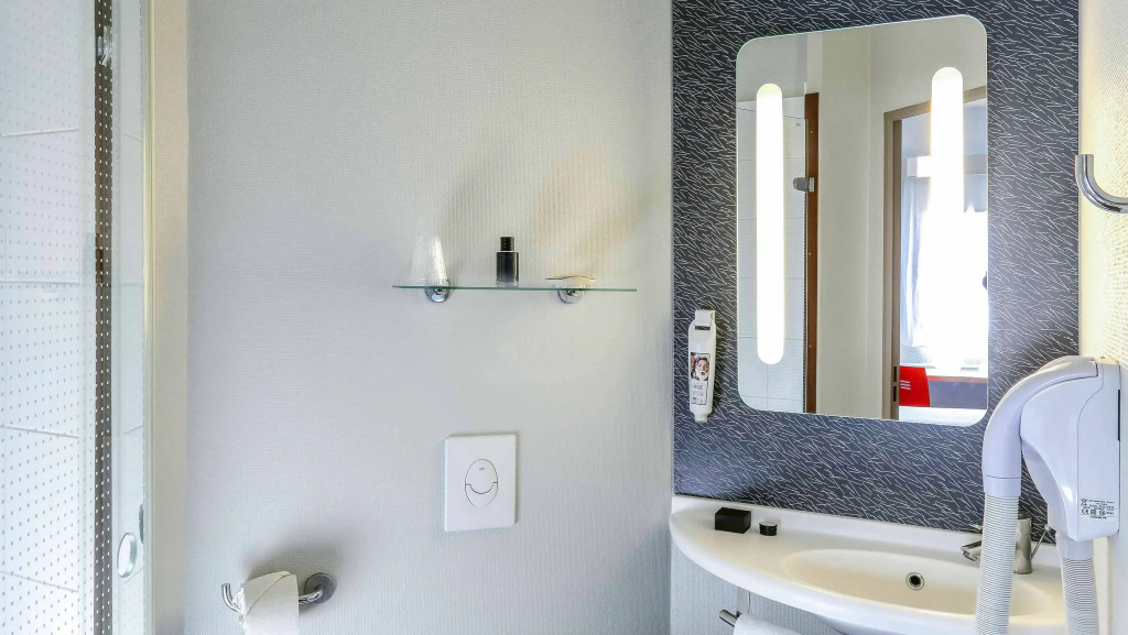 ibis Orange Sud