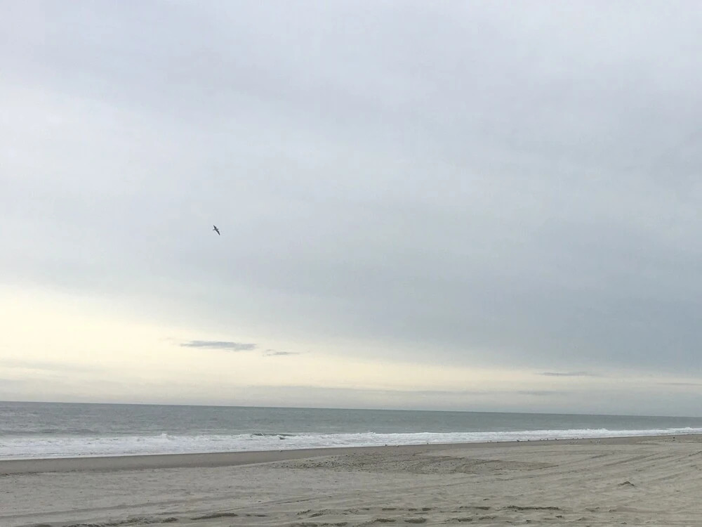 New Listing! Beach Penthouse W/ All-season Pool 1 Bedroom Condo