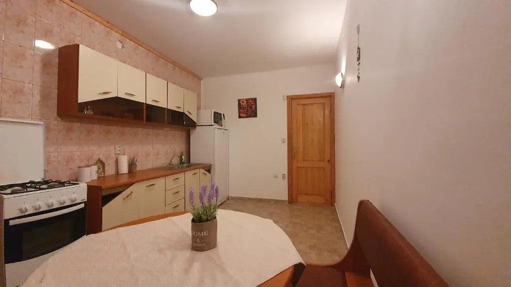 Vila Panselutelor 6