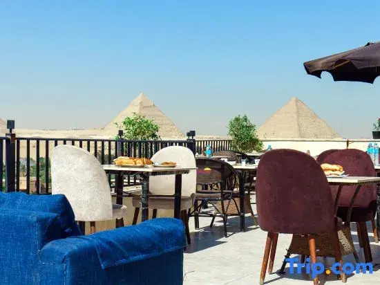 New Gardenia Pyramids - Rooftop