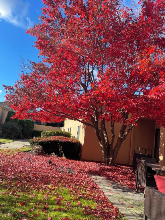 Courtyard by Marriott Fishkill