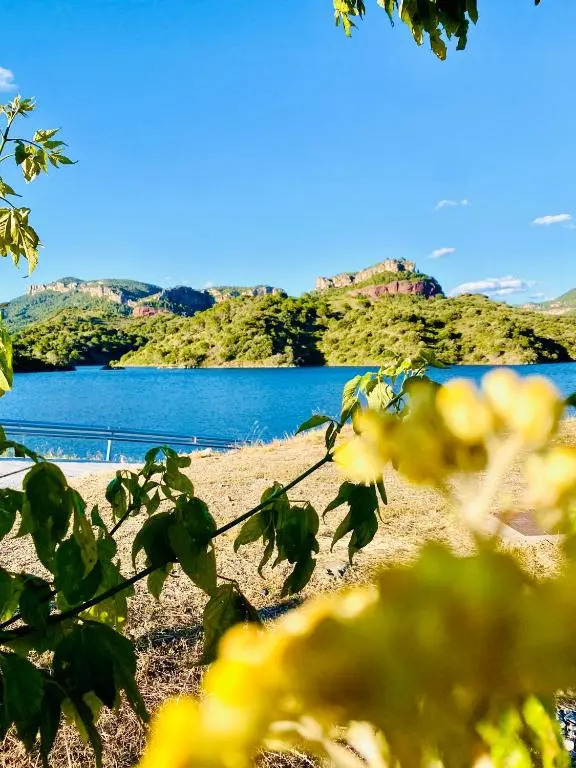Apartaments Chenin Blanc-Priorat