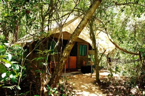 Mahoora Explorer - Dambana by Eco Team