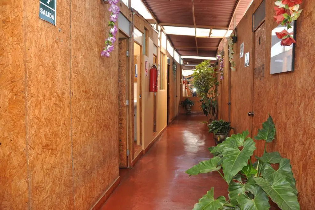 Hostal Vladis I
