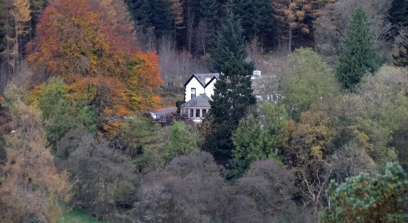 The Cottage in the Wood