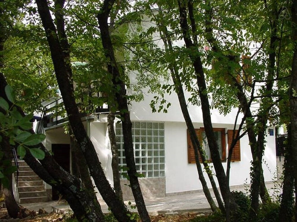 Apartments Miro