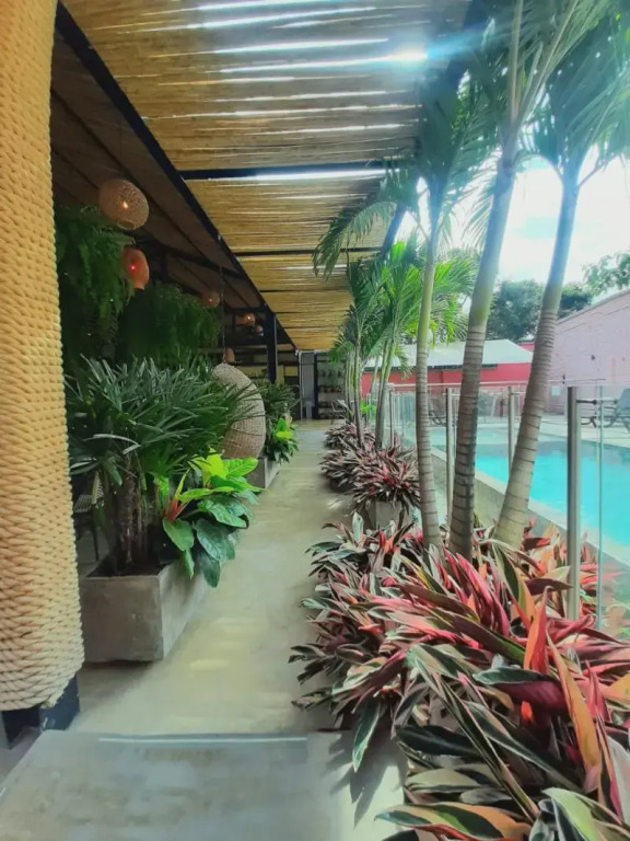 Viajero Cali Hostel & Salsa School