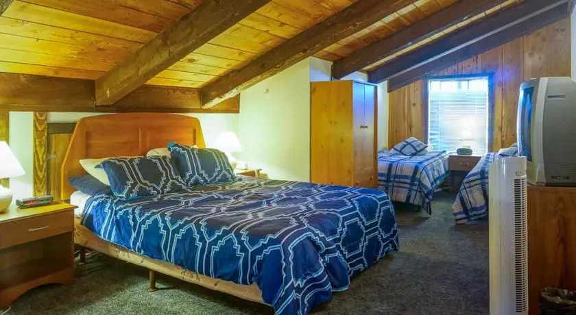 Tahoe Village 315D