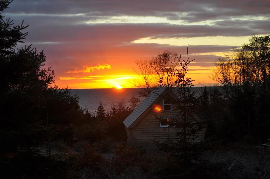 The Zzzz Moose Camping Cabins