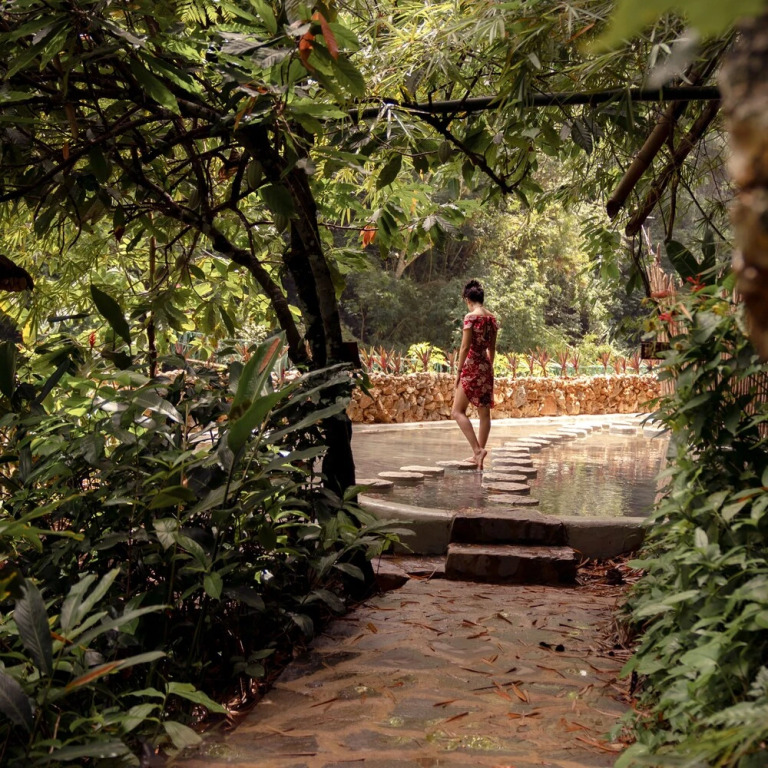 Tree House Village - Waterfall