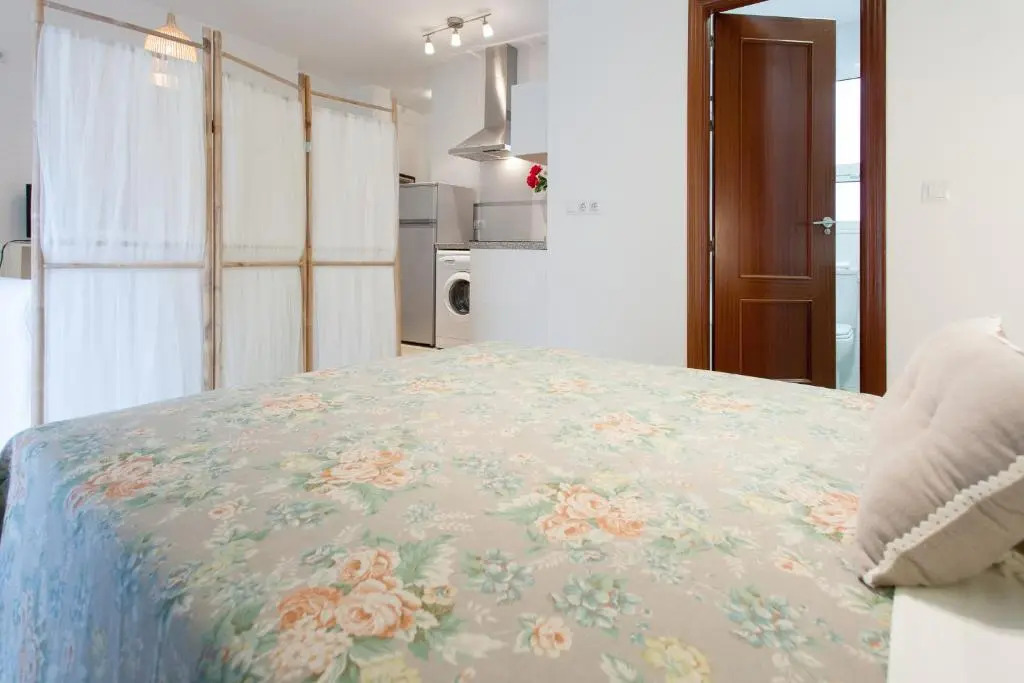 Apartamentos San Lorenzo