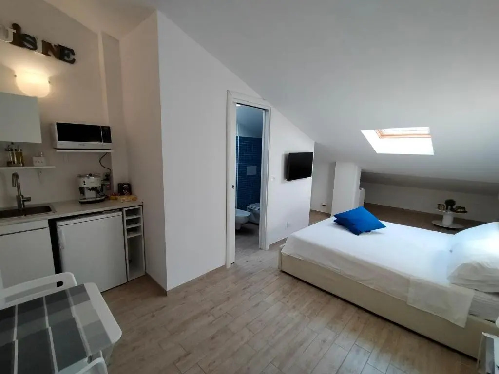 Mini Attic Design