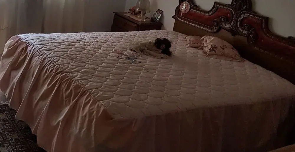 A Casa Mia