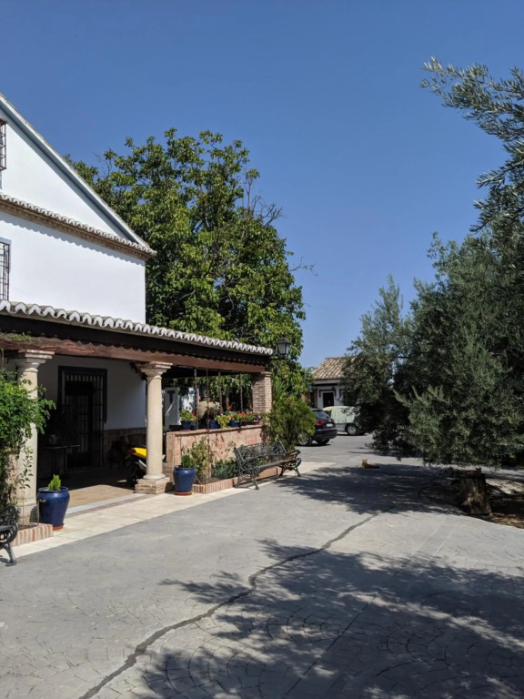 La Noguera de Baena