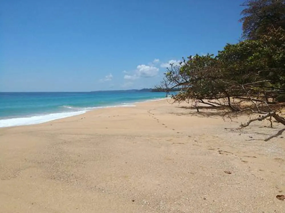 Paradise Waits