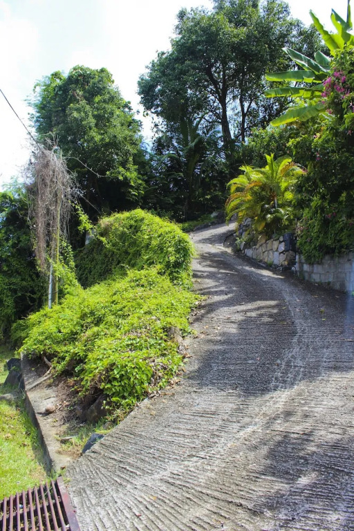Stelia Seychelles