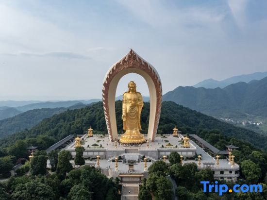 Jiujiang LushanScenic picturesque No. 1 Garden Meisu (Donglin Giant Buddha Store)