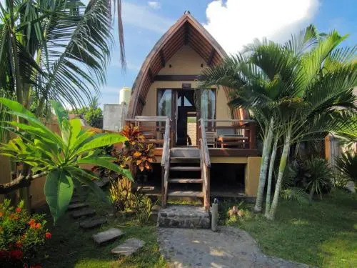 Coconut Dream