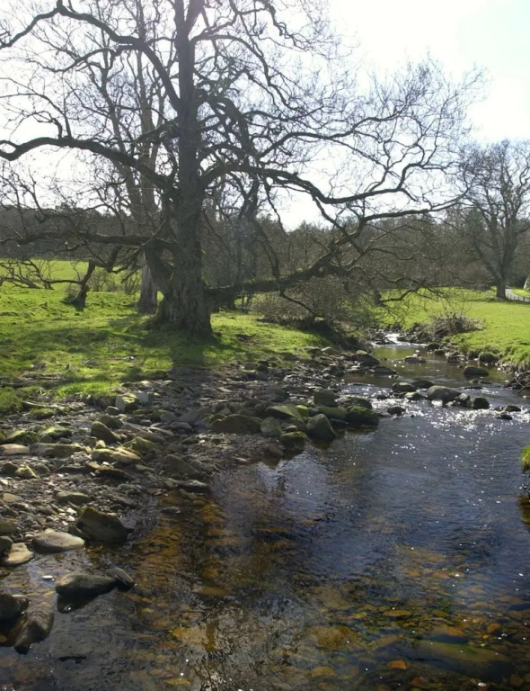 Ladyburn