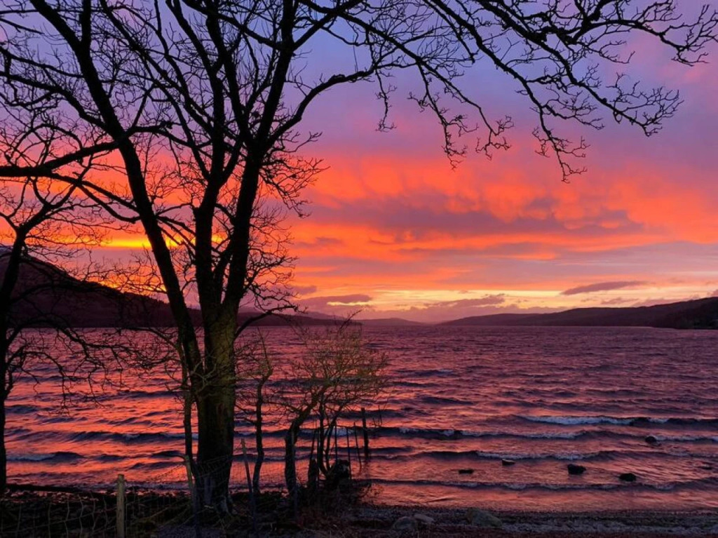 Loch Rannoch Pine Marten Lodge 2