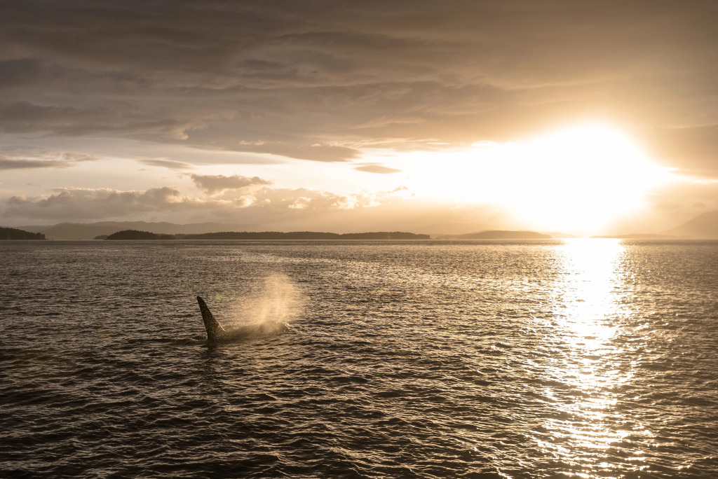 Holiday Inn Victoria - Elk Lake by IHG