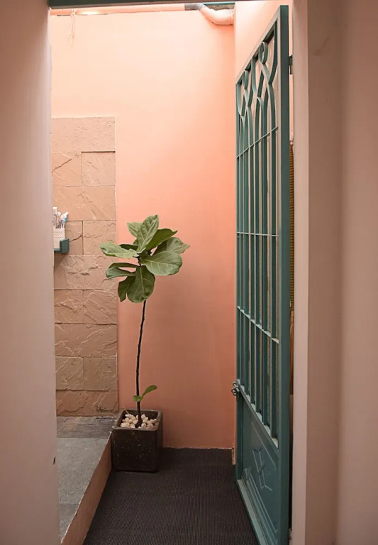 Py's House