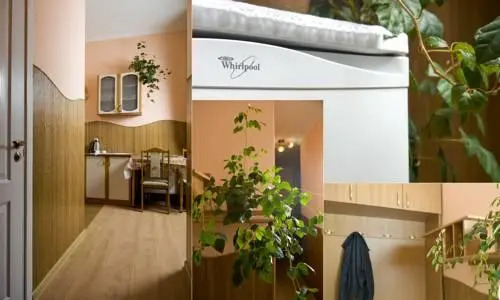 Lviv Centre Apartment