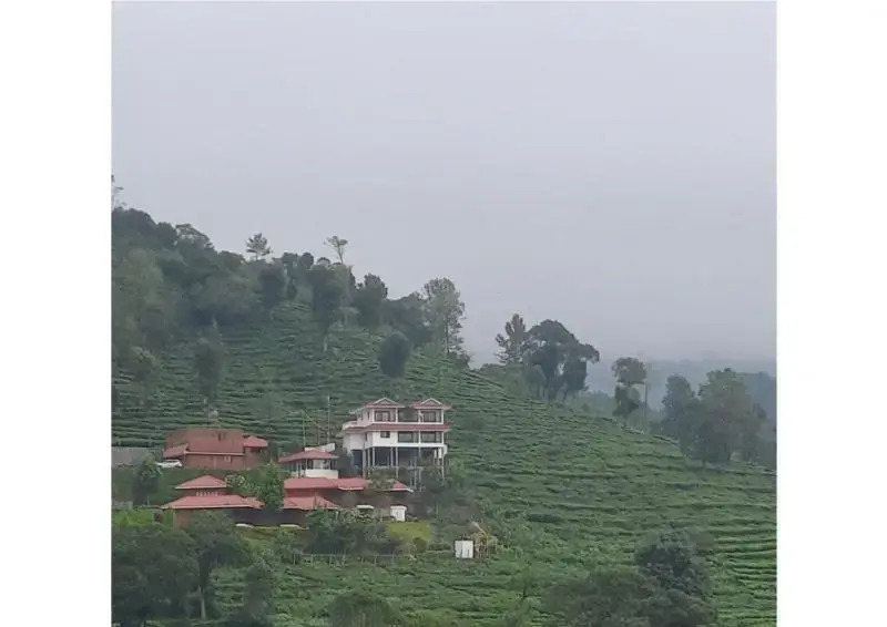 The Royale Ridge