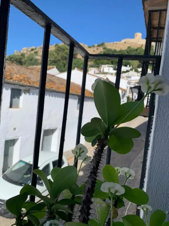 El estudio - beautiful apartment in historic old town