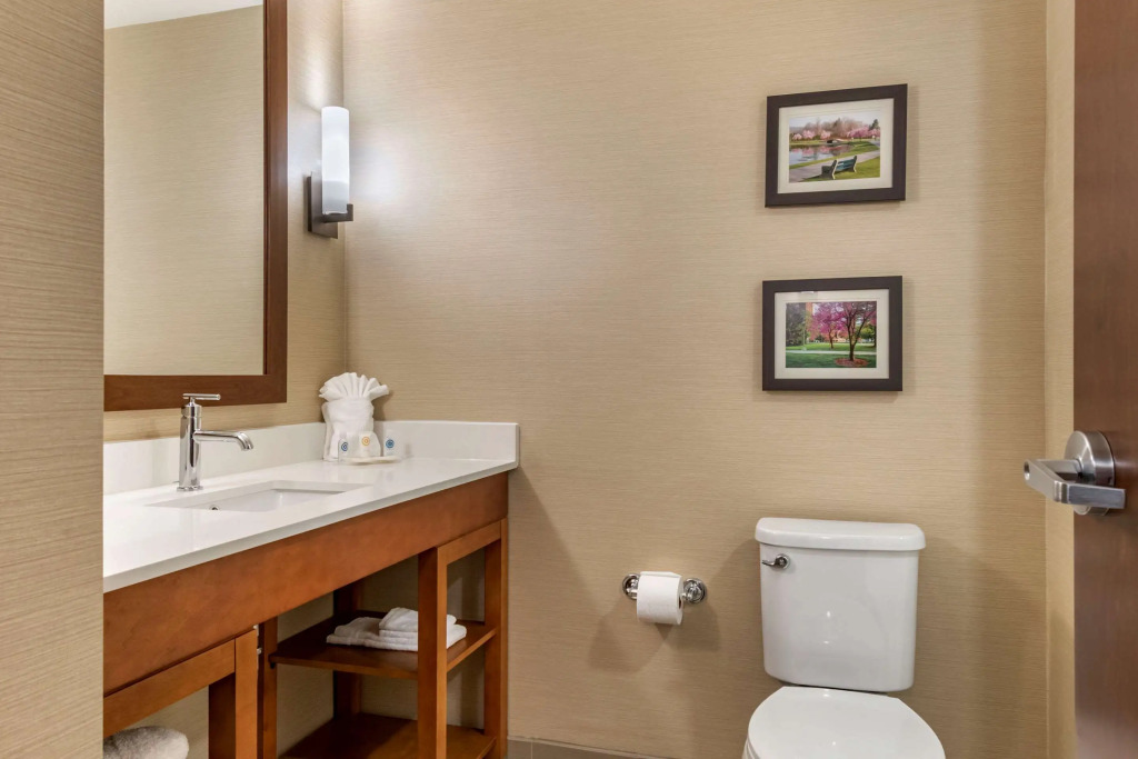 Comfort Suites Camp Hill-Harrisburg West
