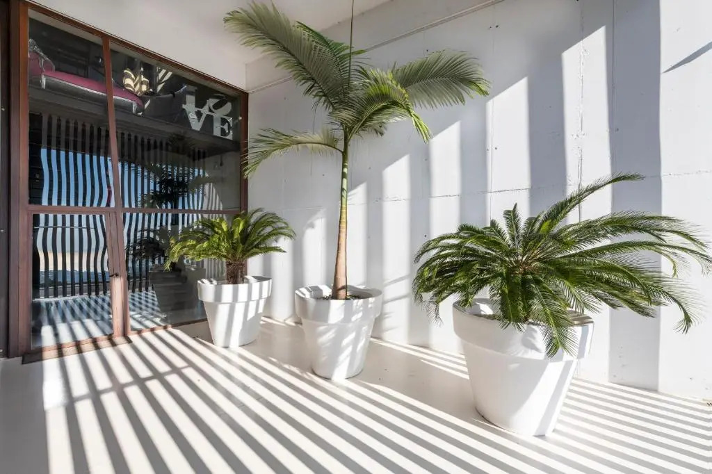Ibiza Style Barcelona